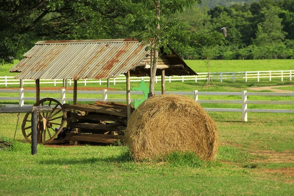 stock image Big round bales of straw