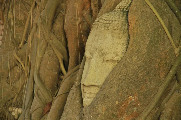 Kumtaşı baş Buda — Stok fotoğraf