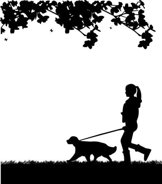 Meisje een hond wandelen in het park in voorjaar silhouet gelaagde — Stockvector