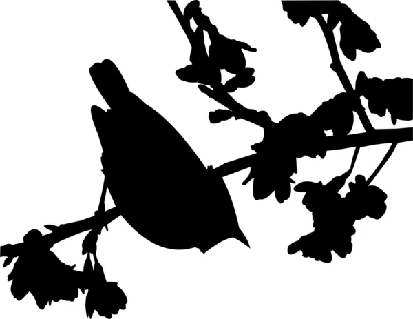 Vector silueta del pájaro en una rama en la primavera — Archivo Imágenes Vectoriales