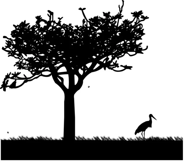 Stork in garden or park in spring silhouette — Stock Vector
