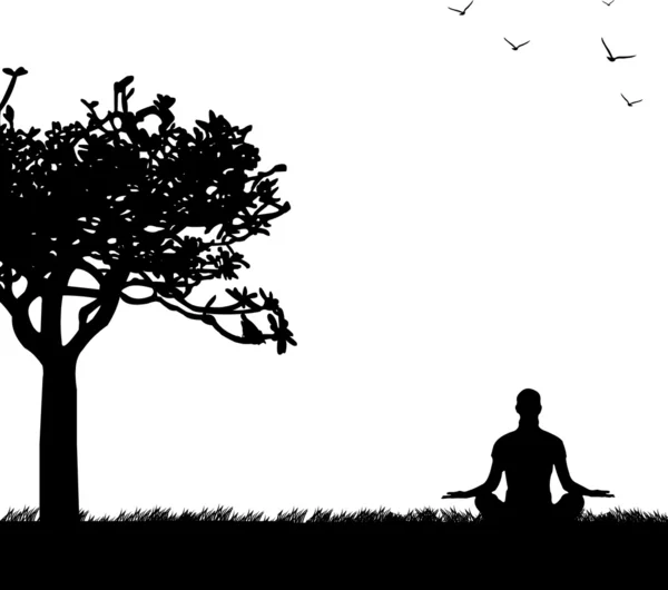 Ein isoliertes Mädchen meditiert und macht Yoga-Übungen unter dem Baum im Park — Stockvektor