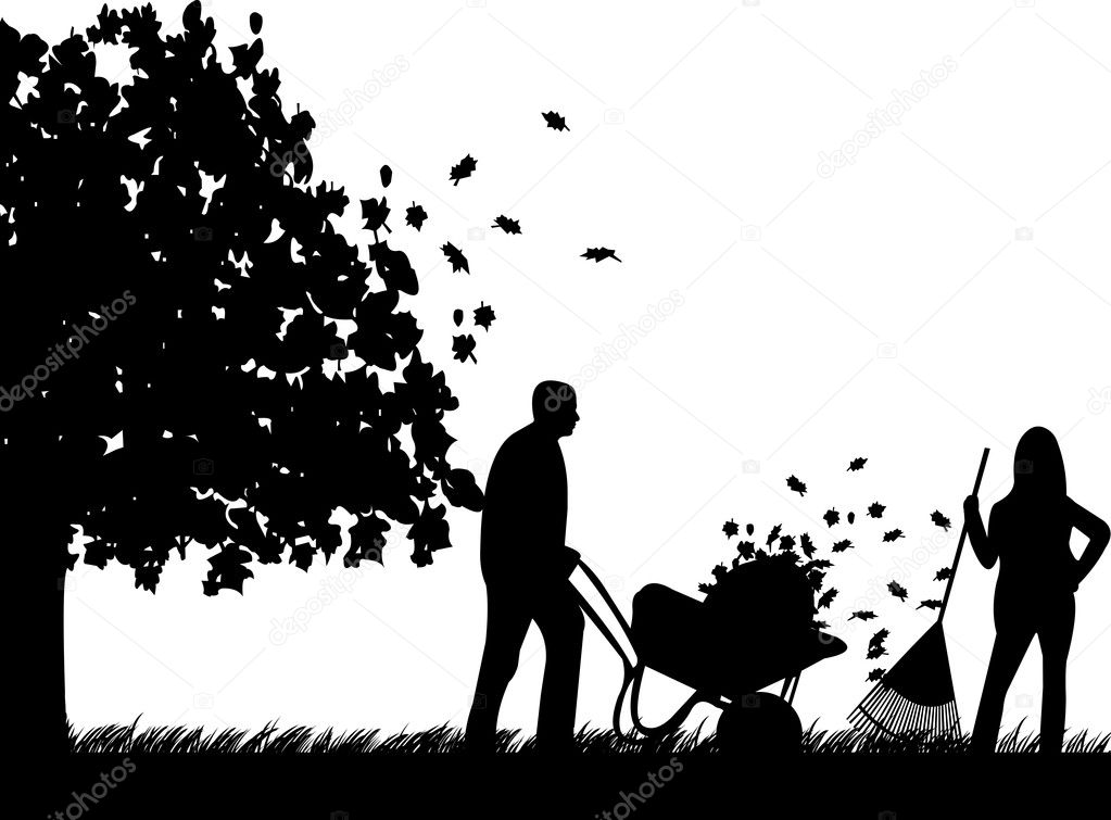 Couple raking leaves in autumn or fall in garden or yard under the tree silhouette