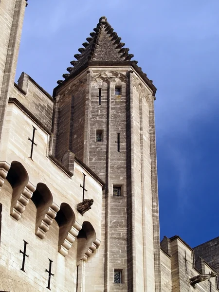 Palácio dos Papas em Avignon, França — Fotografia de Stock