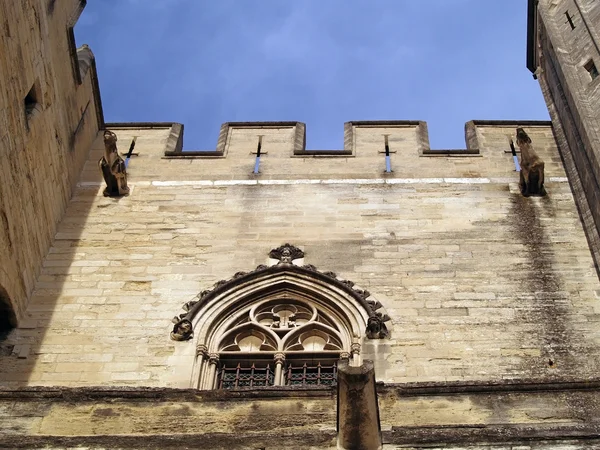 Stone gargoyles protecting The Popes' Palace in Avignon, France — Stock Photo, Image