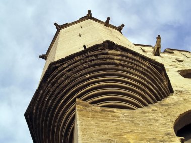 Avignon, Fransa Papalar Sarayı koruyan taş gargoyles