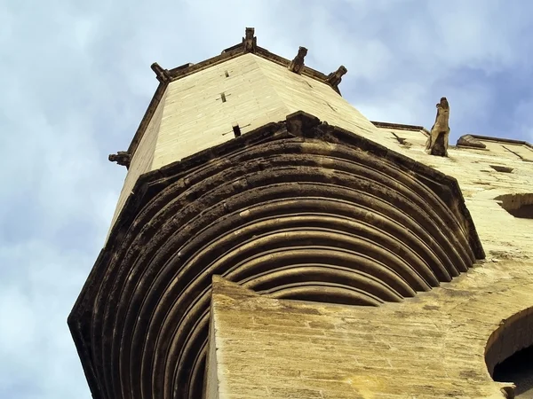 Gargoyle Batu melindungi Istana Paus di Avignon, Perancis — Stok Foto