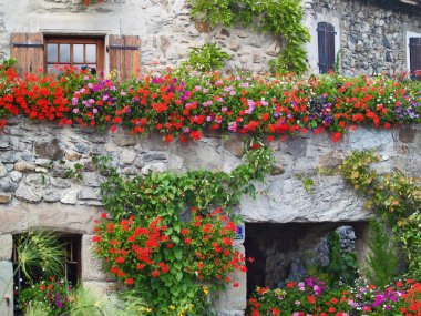 Beautiful House with Flowers in Yvoire, Geneva lake, France clipart