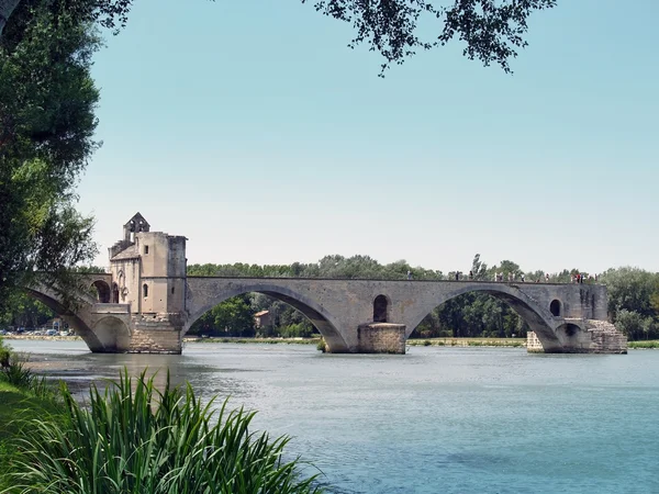 Pont d'Avignon, France — Stock Photo, Image