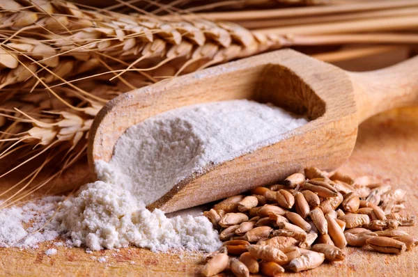 Зерно, мука и пшеница — стоковое фото