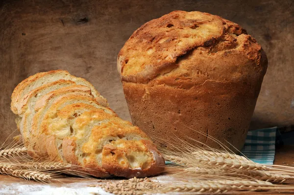 갓 구운 빵 — 스톡 사진