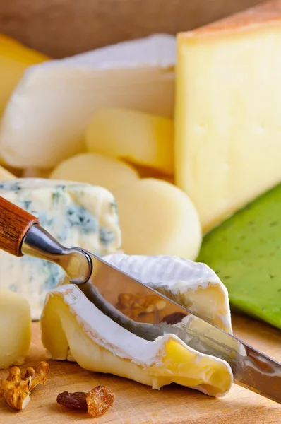 Soft cream cheese — Stock Photo, Image