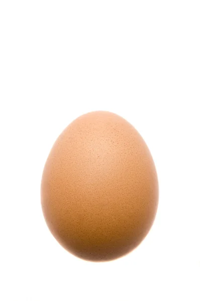 stock image Organic egg