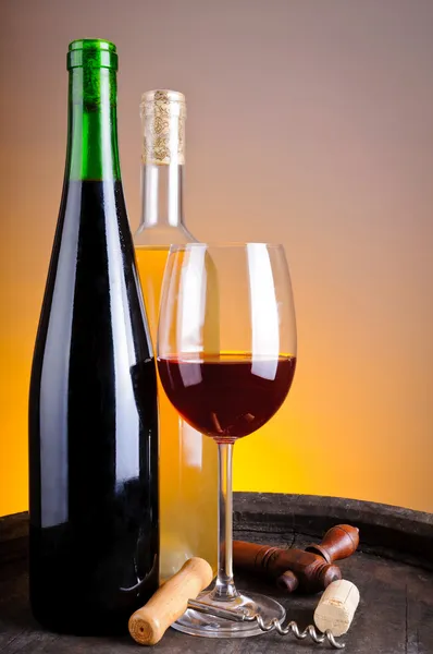 Wijnproeverij in winery — Stockfoto