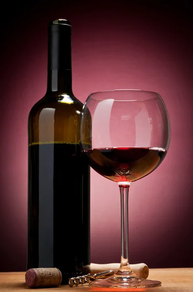 Degustazione vini — Foto Stock