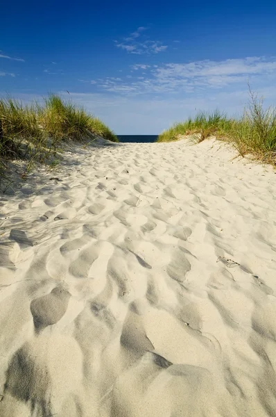 stock image Sand path to beach