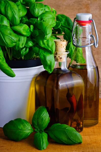 Infused herbal oil and basil — Stock Photo, Image