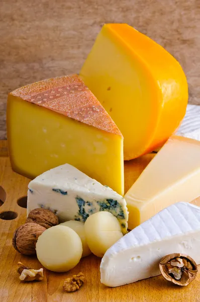 チーズプレート — ストック写真