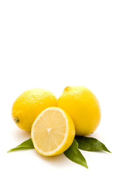 新鲜生物柠檬 — 图库照片