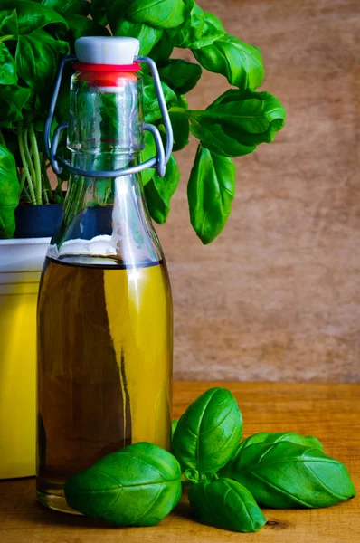 Olive oil and basil — Stock Photo, Image