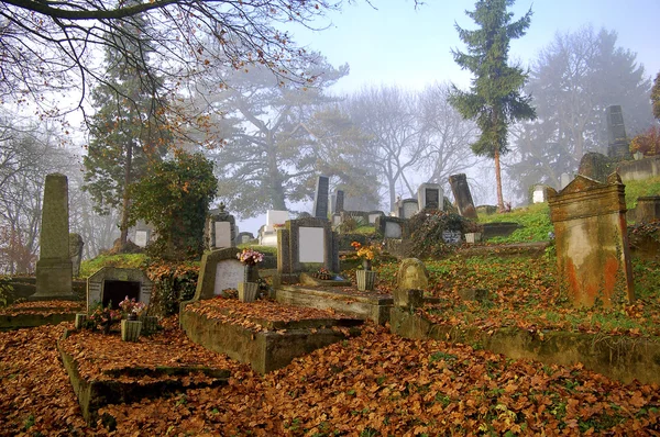Beautiful graveyard in autumn — Stock Photo, Image