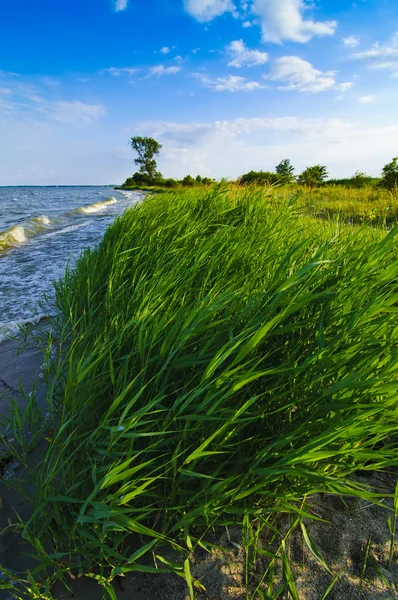 Landscape from Usedom island — Stock Photo, Image