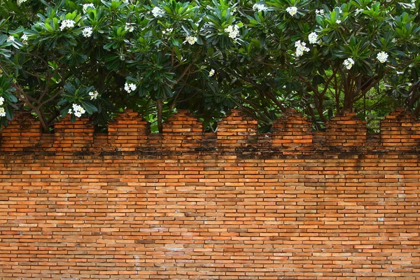 Cihlová zeď chrámu — Stock fotografie