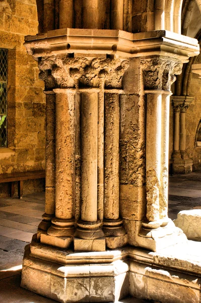 Detalhe da coluna gótica em Se Velha — Fotografia de Stock
