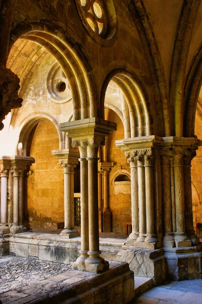 Detail van gotische kolom in se velha — Stockfoto