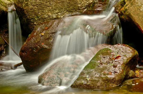 Vatten och höst färg — Stockfoto