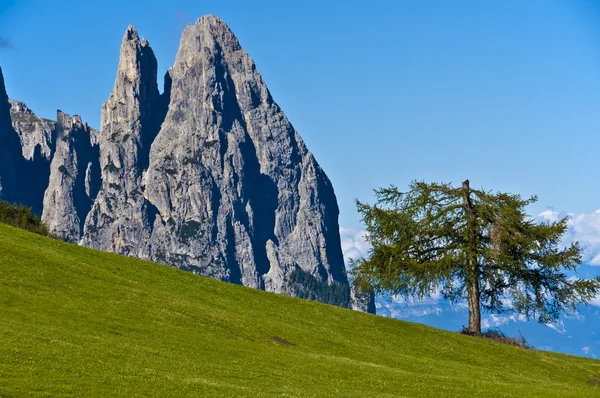 Dolomites, Seiser Alm - Italy — Stock Photo, Image