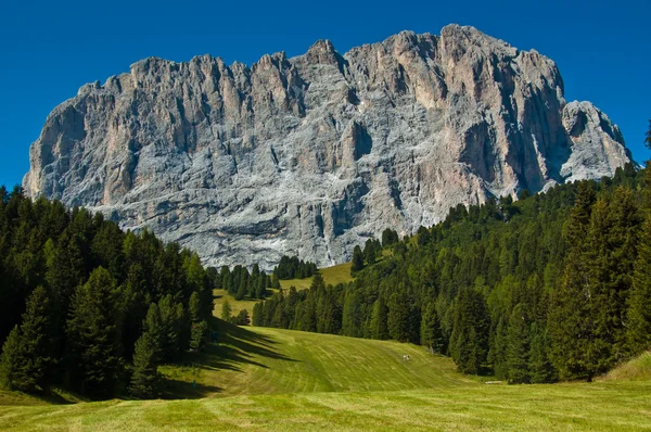 Utsikt över berget sassolungo — Stockfoto