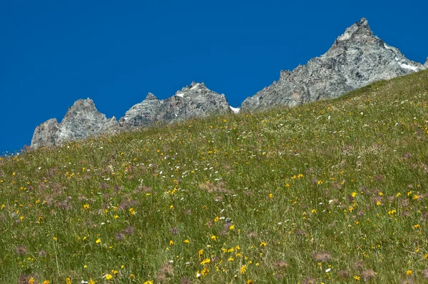Profiel bergachtig, Valle d'Aosta — Stockfoto