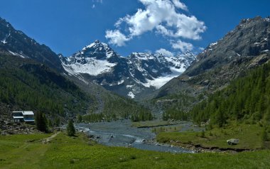 Ventina Alp, Valmalenco - Italy clipart