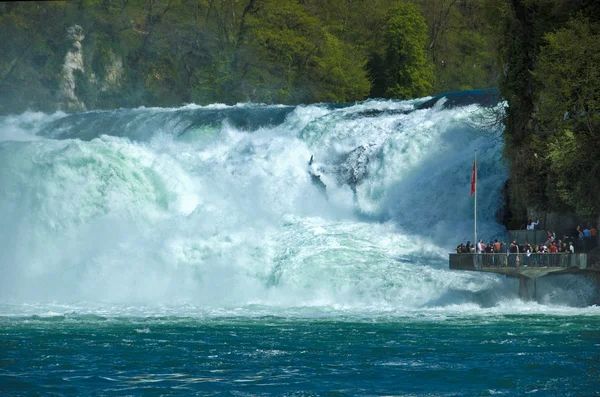 Рейнський водоспад, Швейцарія Стокове Зображення