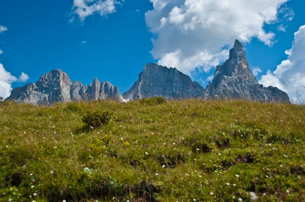 Pale di San Martino, Dolomites - Itália — Fotografia de Stock
