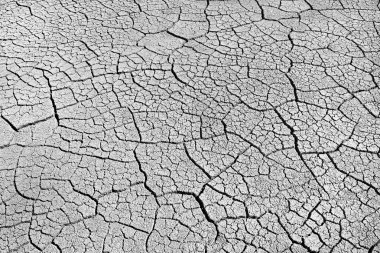 Dry cracked ground clipart