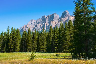 Nature landscape with Rocky Mountains in Jasper National Park, Alberta, Canada clipart