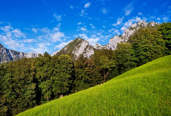 Paesaggio paesaggistico estivo a Berchtesgadener Land, Baviera, Germania — Foto Stock