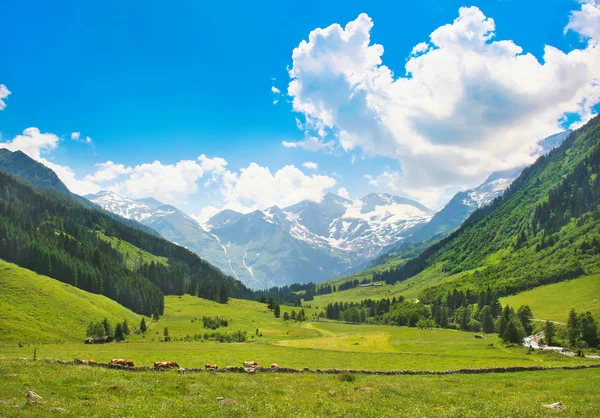 Schöne Naturlandschaft in den Alpen in Österreich. — Stockfoto