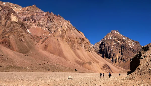 Aconcagua Milli Parkı, Arjantin, Güney Amerika'da Andes trekking yürüyüşçü — Stok fotoğraf