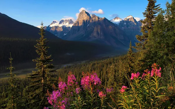 バンフ国立公園、アルバータ、カナダで風光明媚な自然風景 — ストック写真