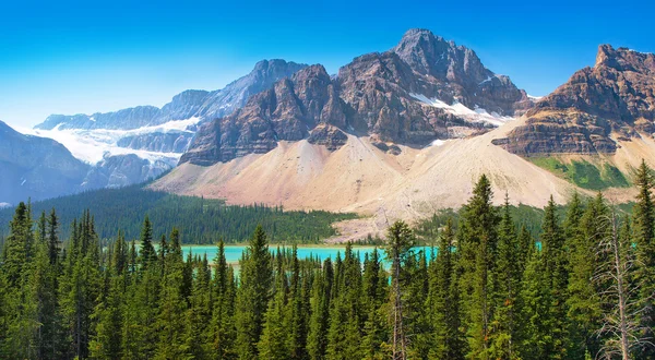 Vildmark i banff national park, alberta, Kanada — Stockfoto