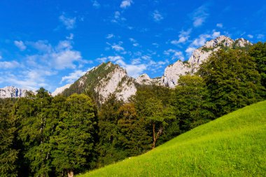 doğal peyzaj nationalpark berchtesgadener arazi, Bavyera