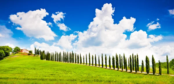 Paisaje en Toscana con casa de campo en una colina — Foto de Stock