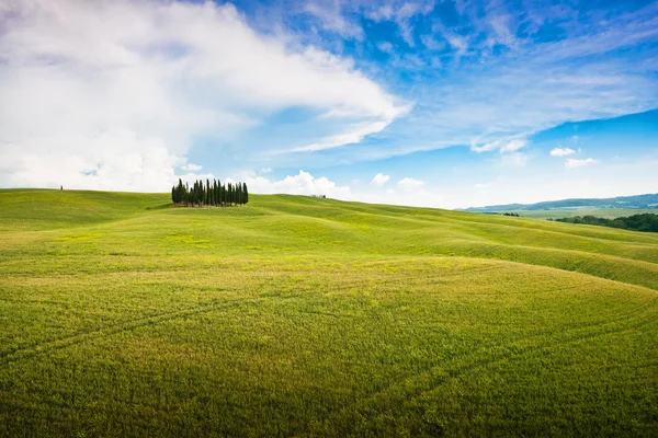 Panorama paesaggistico toscano — Foto Stock