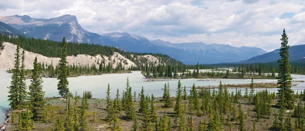 Athabasca rzeki panorama w jasper park narodowy, alberta, Kanada — Zdjęcie stockowe