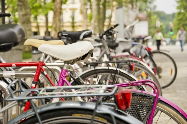 stock image Bicycles parked in the street next to the park