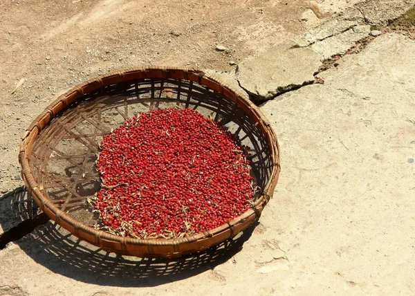Amendoins crus sundrying em uma cesta de vime — Fotografia de Stock