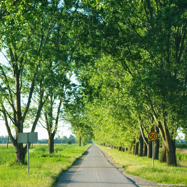 Longue route rurale vide avec panneaux de signalisation — Photo